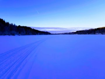 Scandinavia In Winter: Granö Beckasin